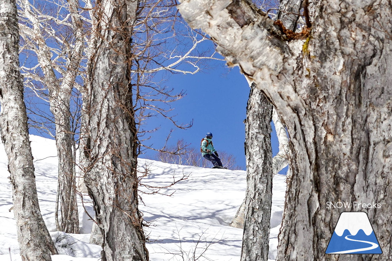 ニセコグラン・ヒラフ DYNASTAR SKI TEST RIDE DAYS Photo Session!!最高の天気に恵まれたニセコに、最高の仲間たちが集まりました☆